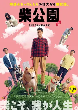 开心查询