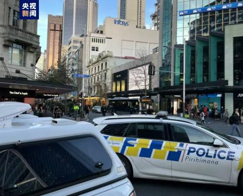 国产一区二区三区免费在线视频