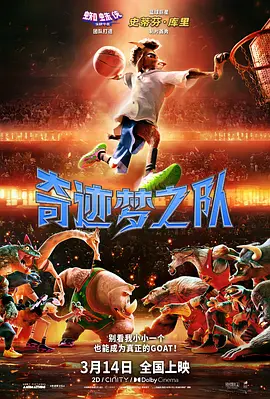91视频一区二区三区