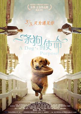 《女兵性史》未删减版在线