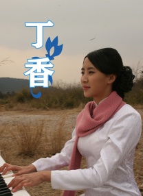 欧美乱视频