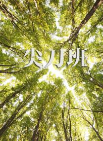 0verflow动漫全集免费观看