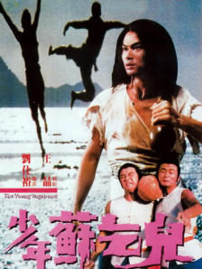 漂亮的继母