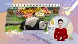 亚洲福利在线播放
